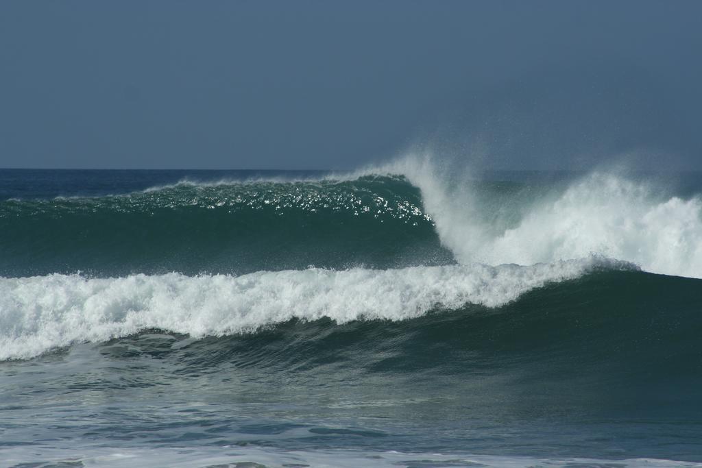 Pacifica Surf Studios Playa Santa Teresa  Eksteriør billede